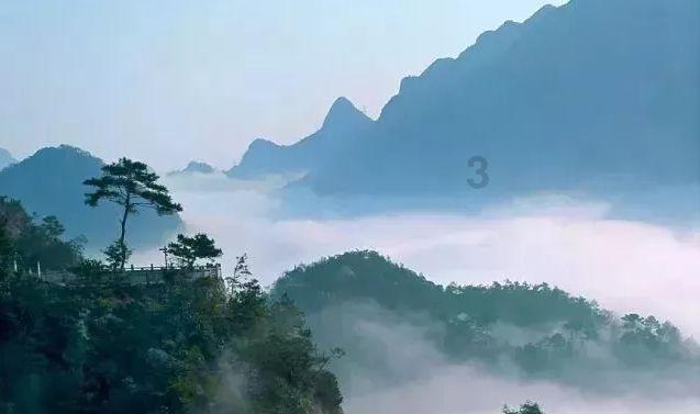 逃离橡子树种植地