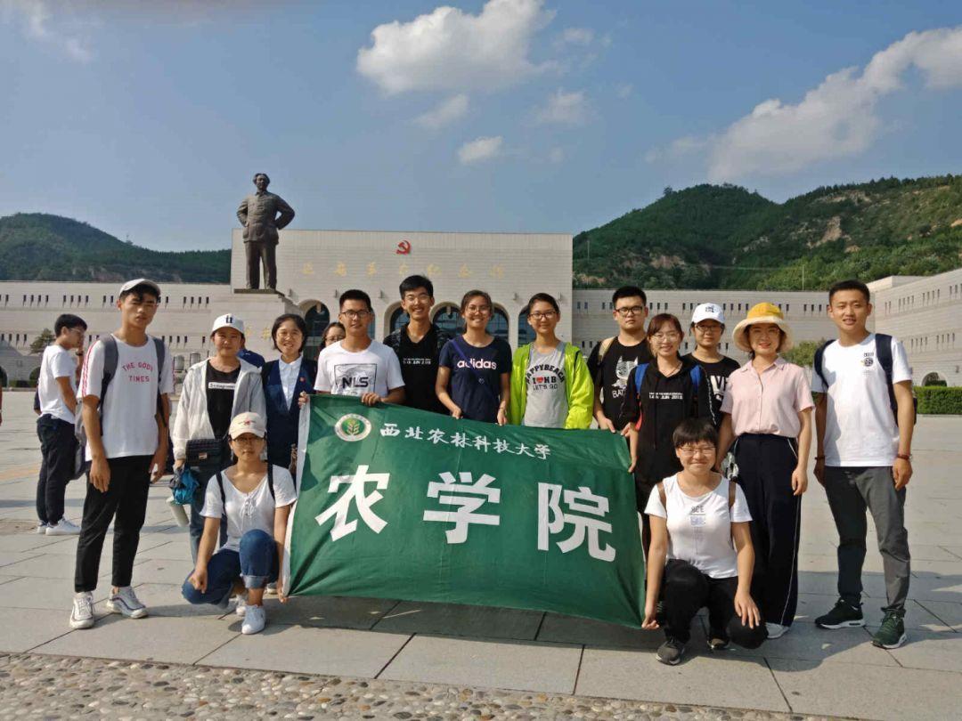 救援修女