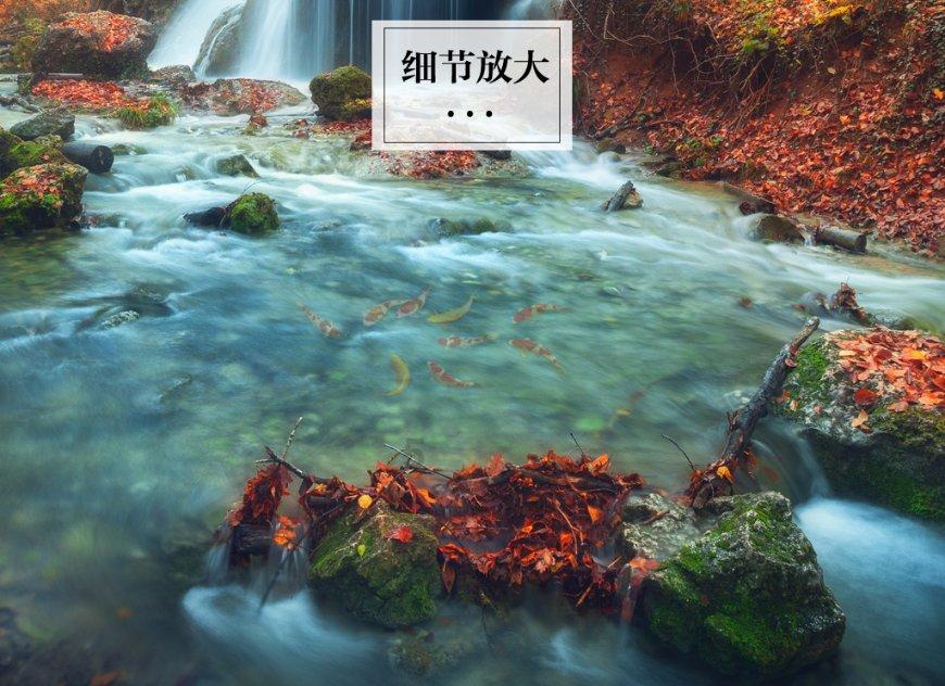 张红超教你做美味省油,豆角茄子超下饭的制作与技巧