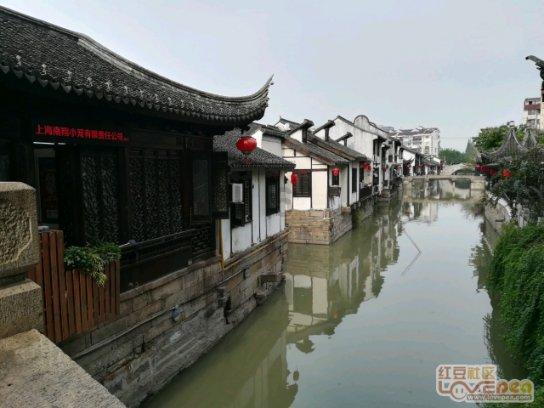 俗语为何讲“一家有女百家求,一马不行百马忧”,这句话是何意?- 专业问答网站